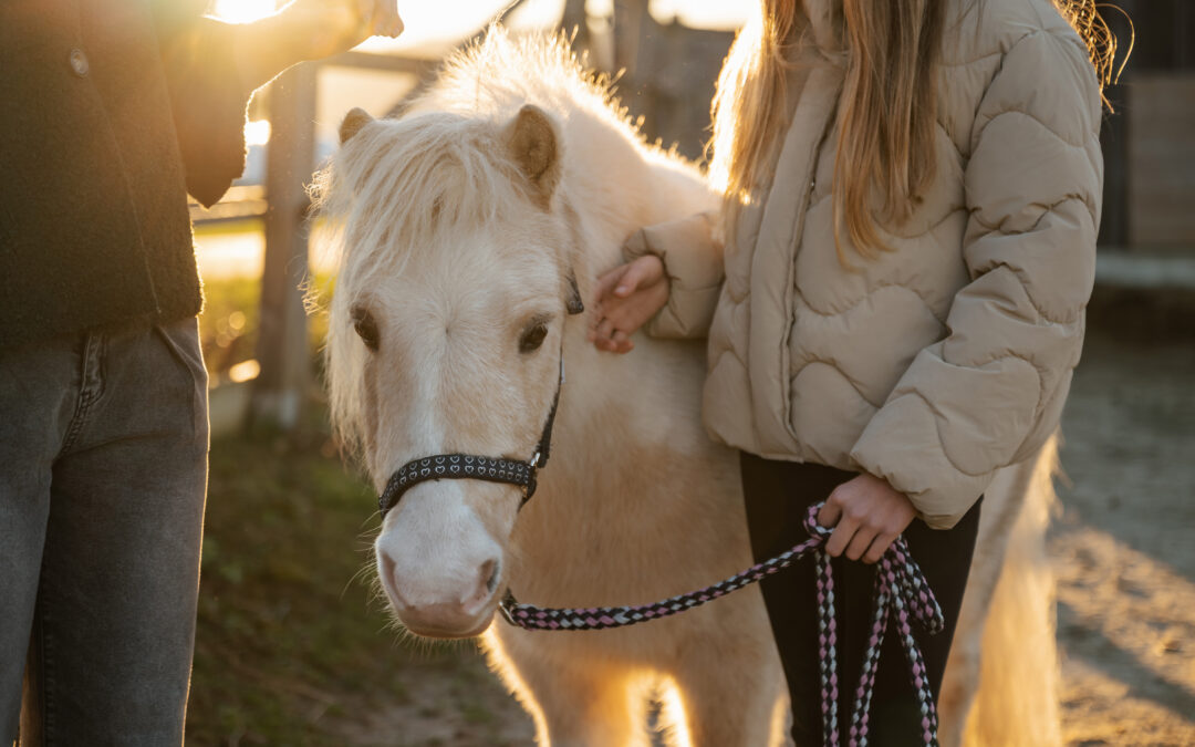 Wie Tiere Kindern bei Angst helfen